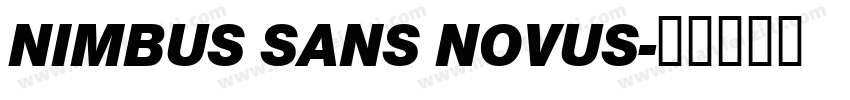 NIMBUS SANS NOVUS字体转换